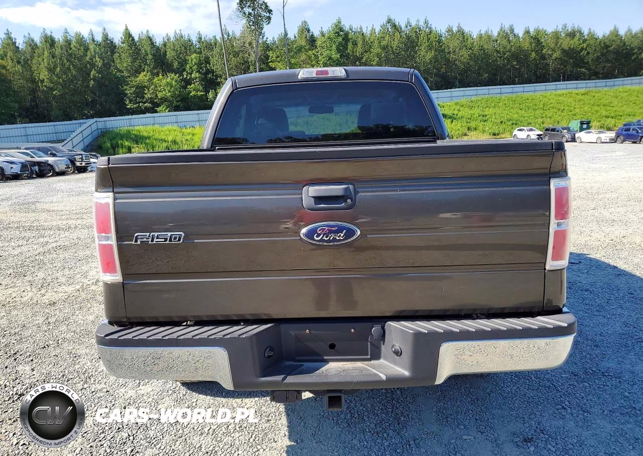 2009 Ford F150 Super Cab VIN:1FTRX14829FA11505 - 6
