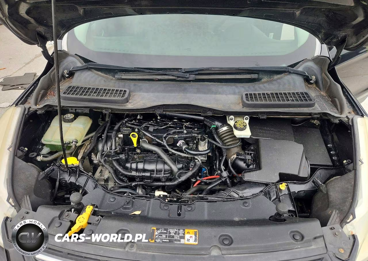 2013 Ford Escape Se VIN:1FMCU0GX9DUD23798 - 12