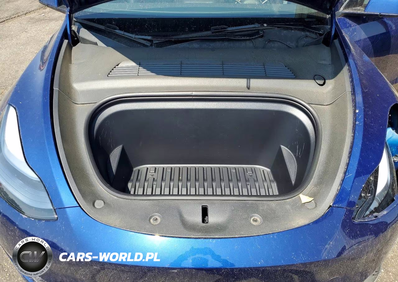 2024 Tesla Model Y VIN:7SAYGAEE9RF193887 - 11