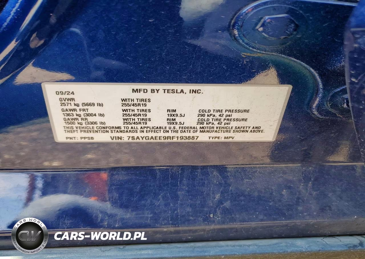 2024 Tesla Model Y VIN:7SAYGAEE9RF193887 - 12