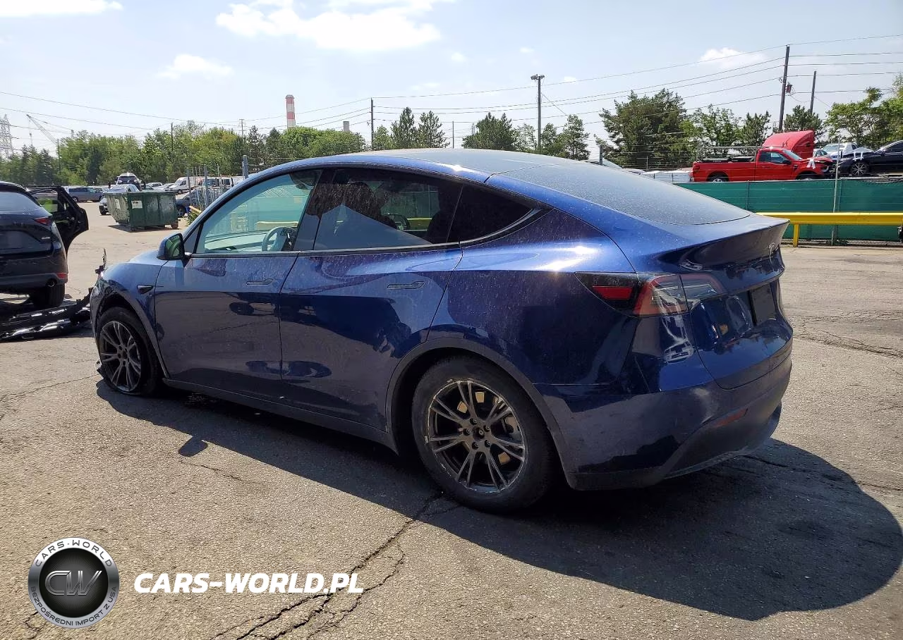 2024 Tesla Model Y VIN:7SAYGAEE9RF193887 - 2