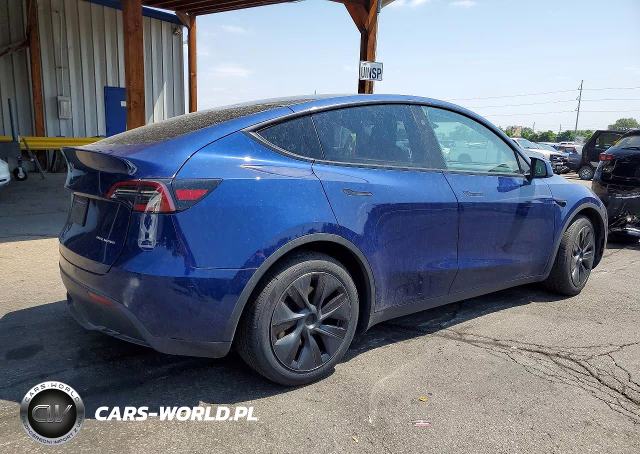 2024 Tesla Model Y VIN:7SAYGAEE9RF193887 - 3