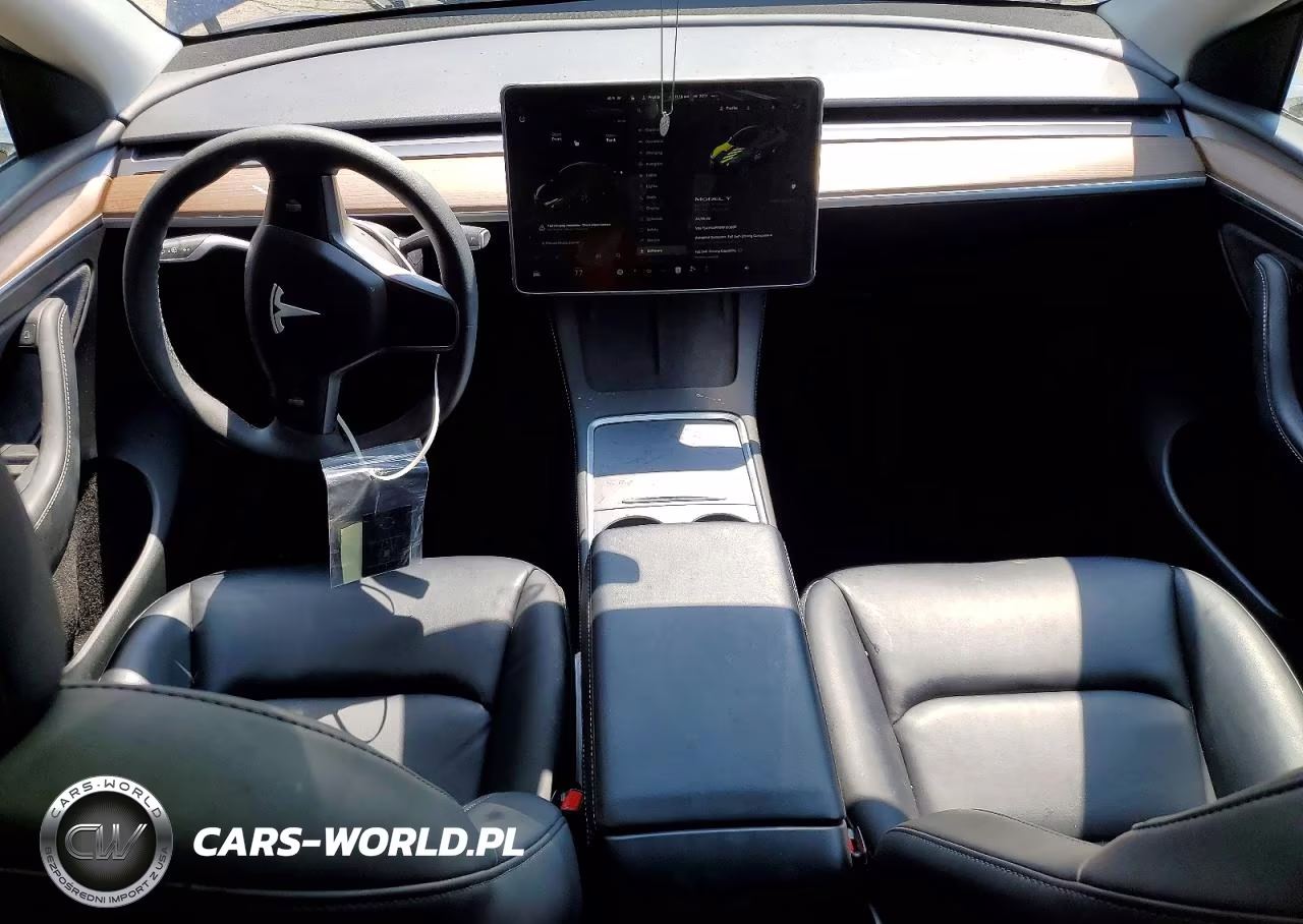 2024 Tesla Model Y VIN:7SAYGAEE9RF193887 - 8