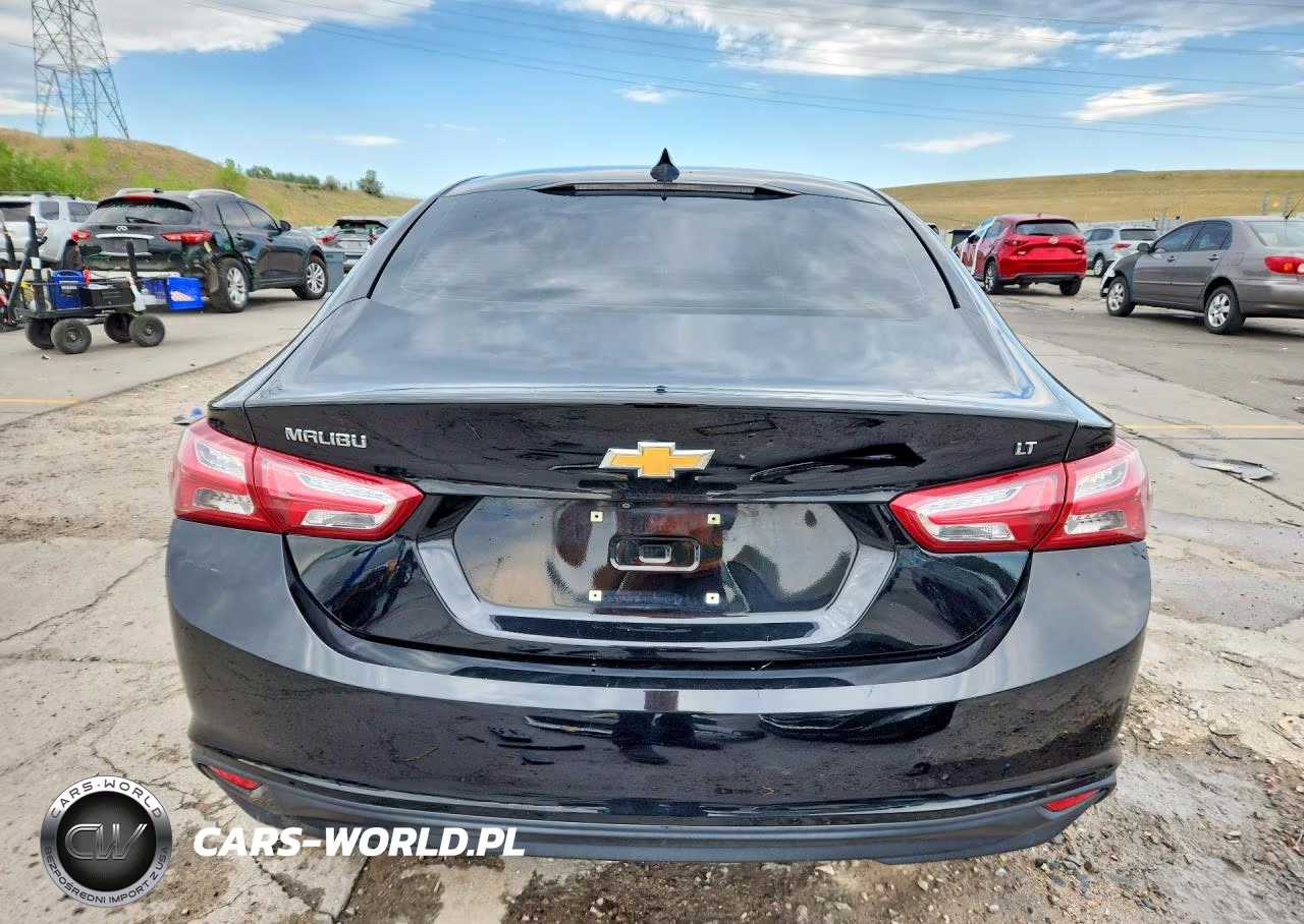 2019 Chevrolet Malibu Lt VIN:1G1ZD5ST7KF179078 - 6