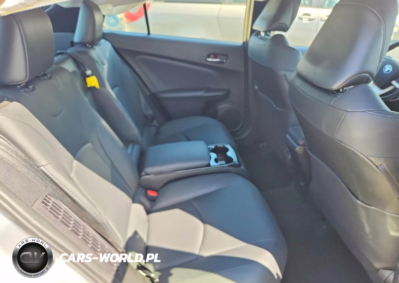 2019 Toyota Prius Prime Advanced VIN:JTDKARFP7K3107210 - 10