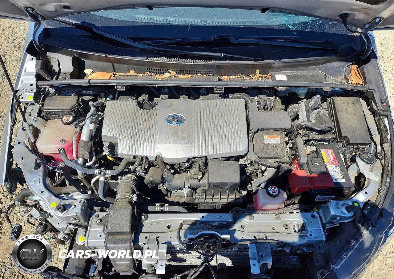 2019 Toyota Prius Prime Advanced VIN:JTDKARFP7K3107210 - 11