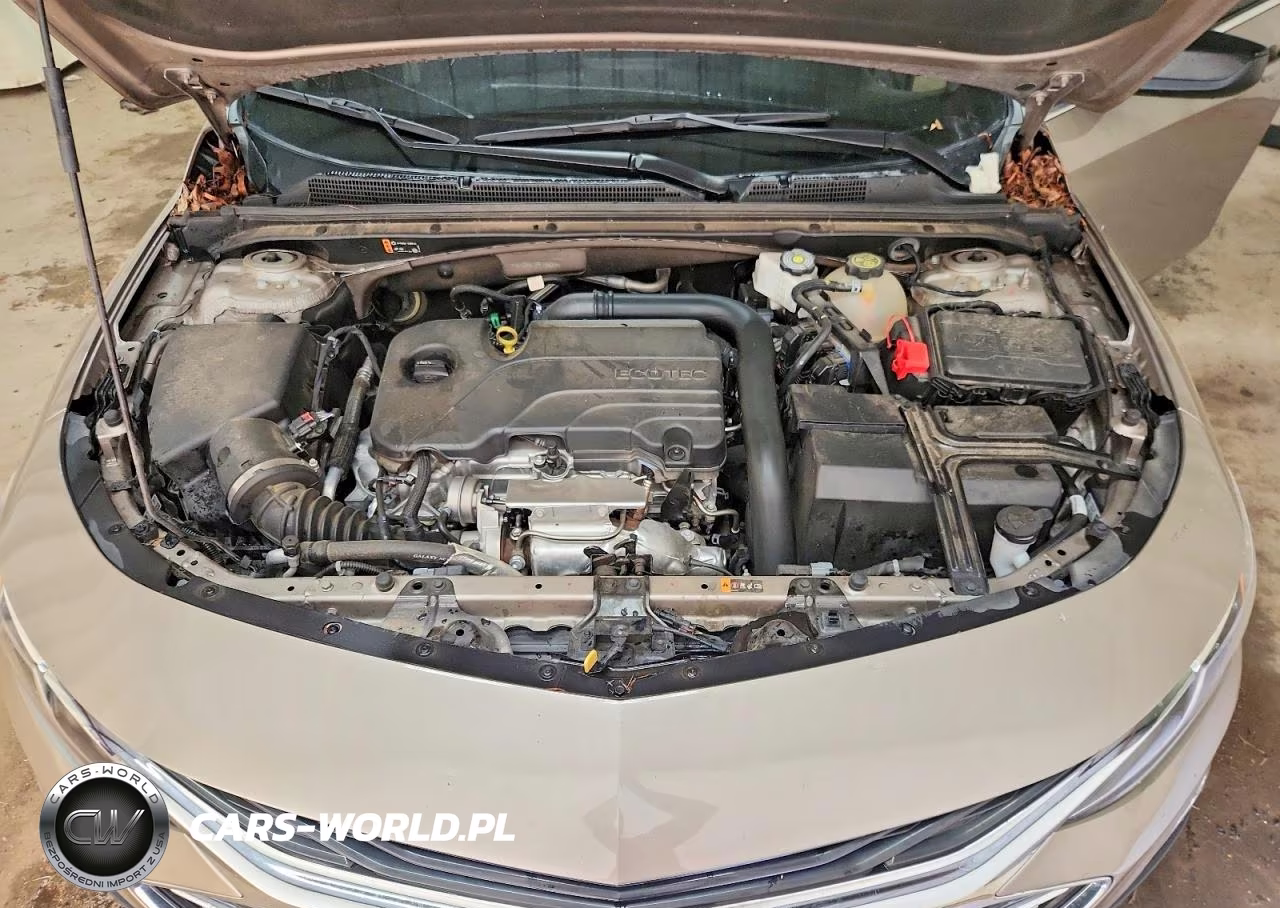 2023 Chevrolet Malibu Lt VIN:1G1ZD5ST5PF185064 - 11