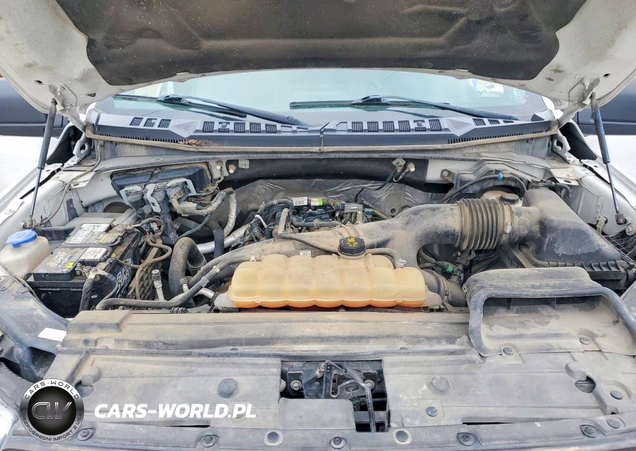 2019 Ford F150 Supercrew VIN:1FTEW1EP2KKC33305 - 11