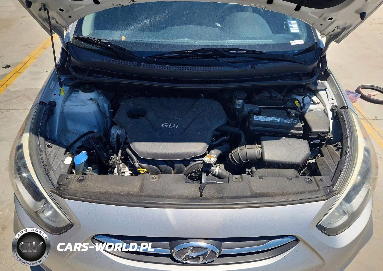 2015 Hyundai Accent Gs VIN:KMHCT5AE2FU213346 - 11