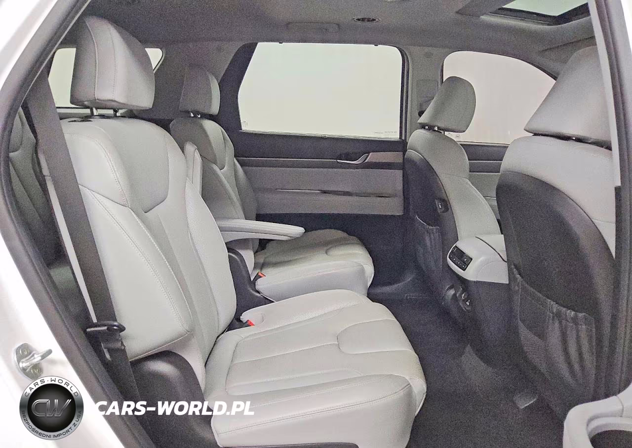 2021 Hyundai Palisade Sel VIN:KM8R4DHE1MU201838 - 11