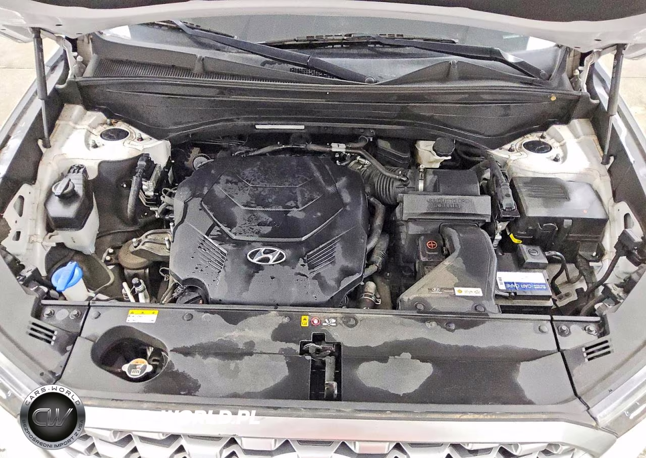 2021 Hyundai Palisade Sel VIN:KM8R4DHE1MU201838 - 12