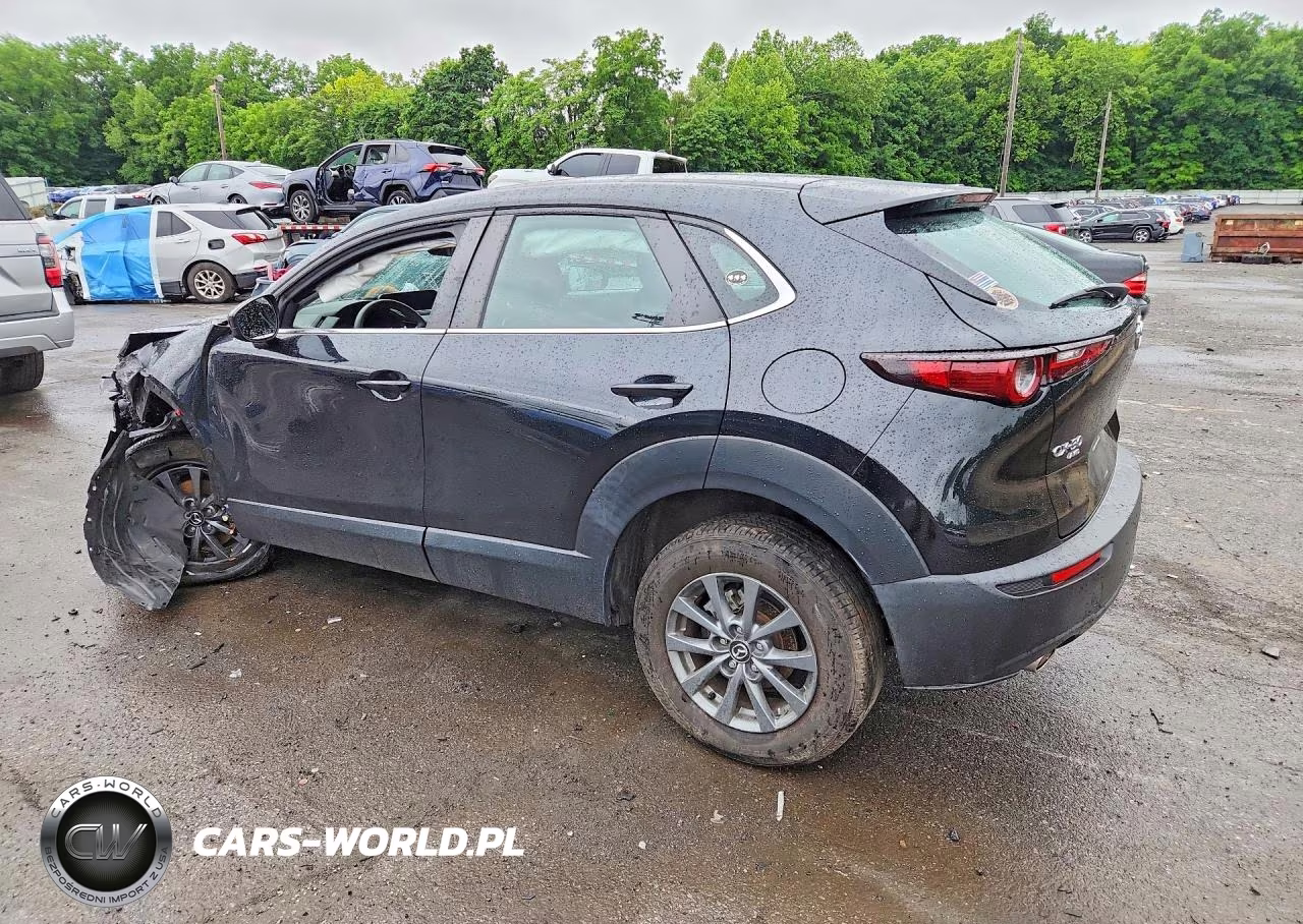 2021 Mazda Cx-30 VIN:3MVDMBAL7MM248662 - 2
