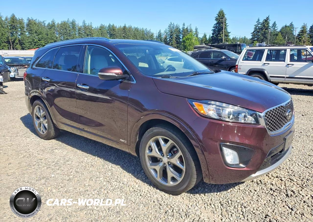 2016 Kia Sorento Sx V6 VIN:5XYPKDA54GG069708 - 4