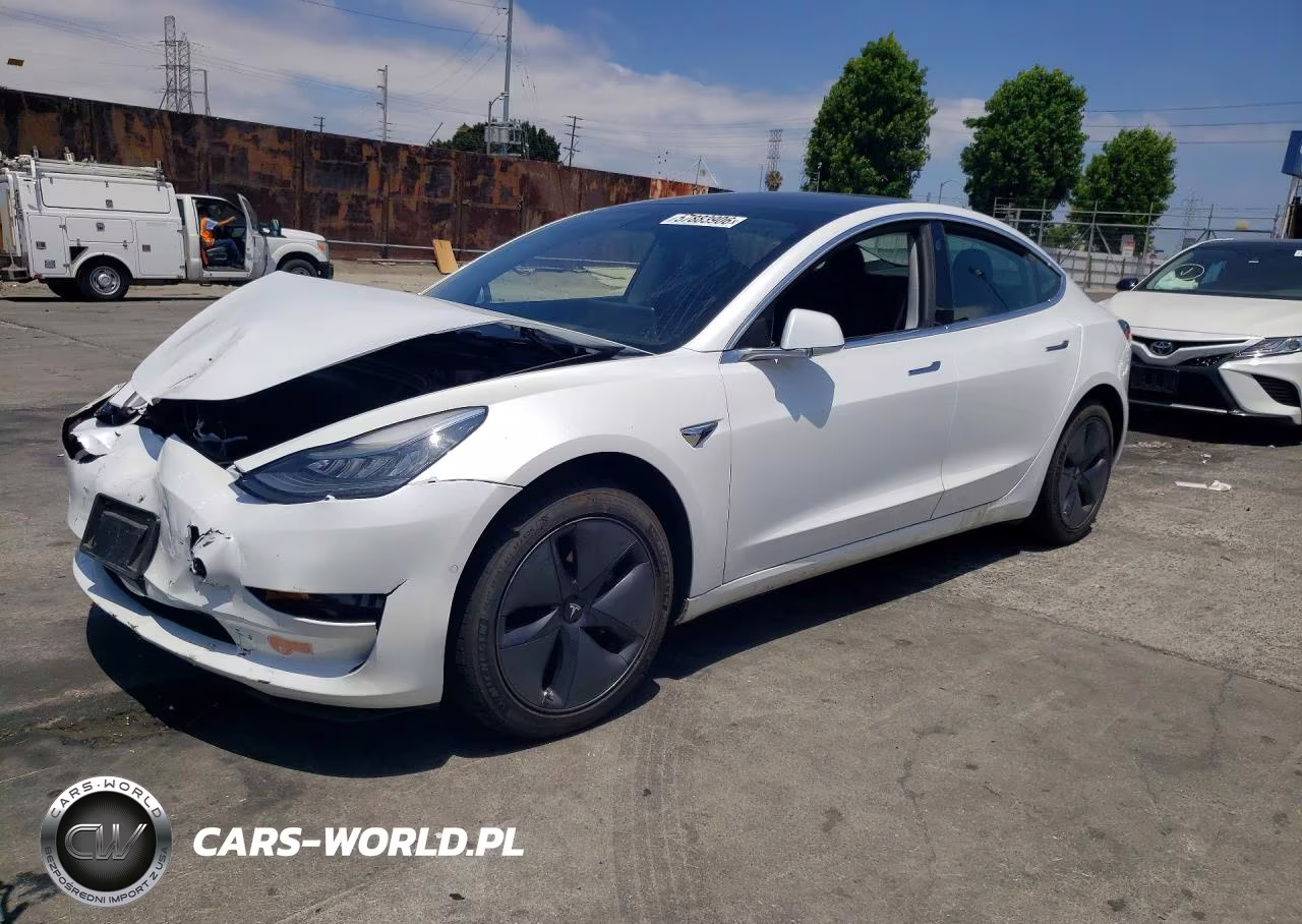 2019 Tesla Model 3