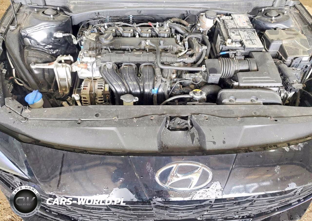 2023 HYUNDAI ELANTRA SEL VIN:5NPLM4AG7PH089485 - 11