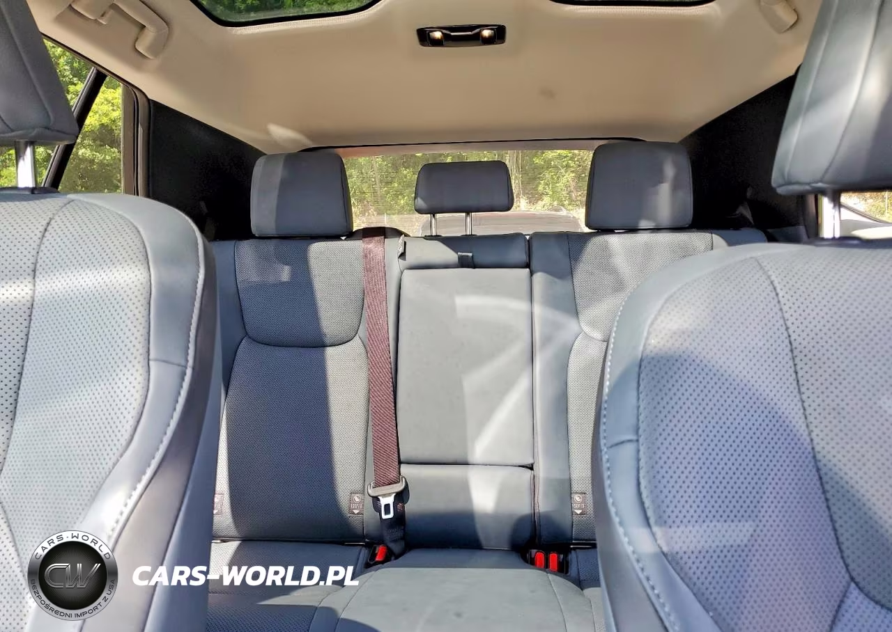 2025 Lexus Rz 450E VIN:JTJAAAAB7SA031022 - 10