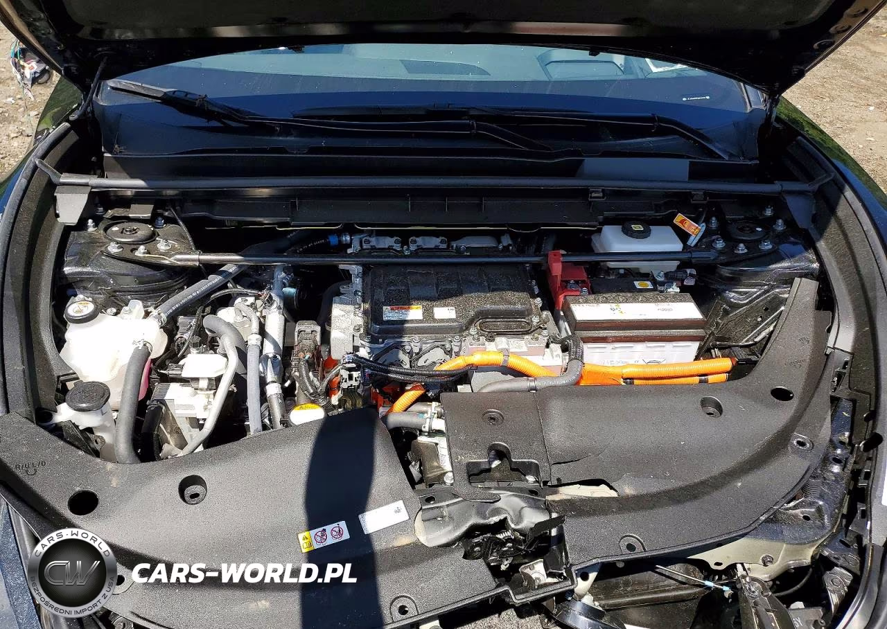2025 Lexus Rz 450E VIN:JTJAAAAB7SA031022 - 12