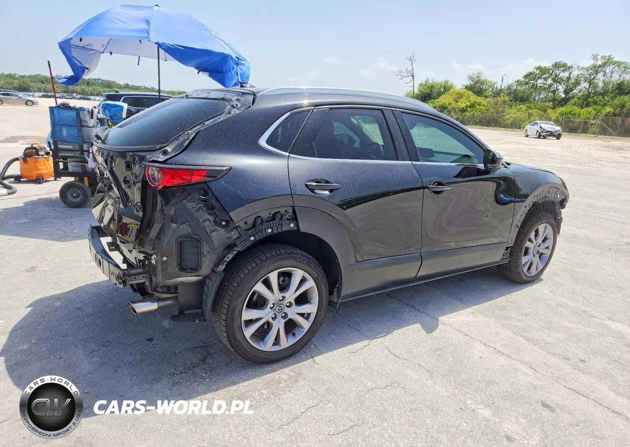 2021 Mazda Cx-30 Premium VIN:3MVDMBDL2MM314417 - 3