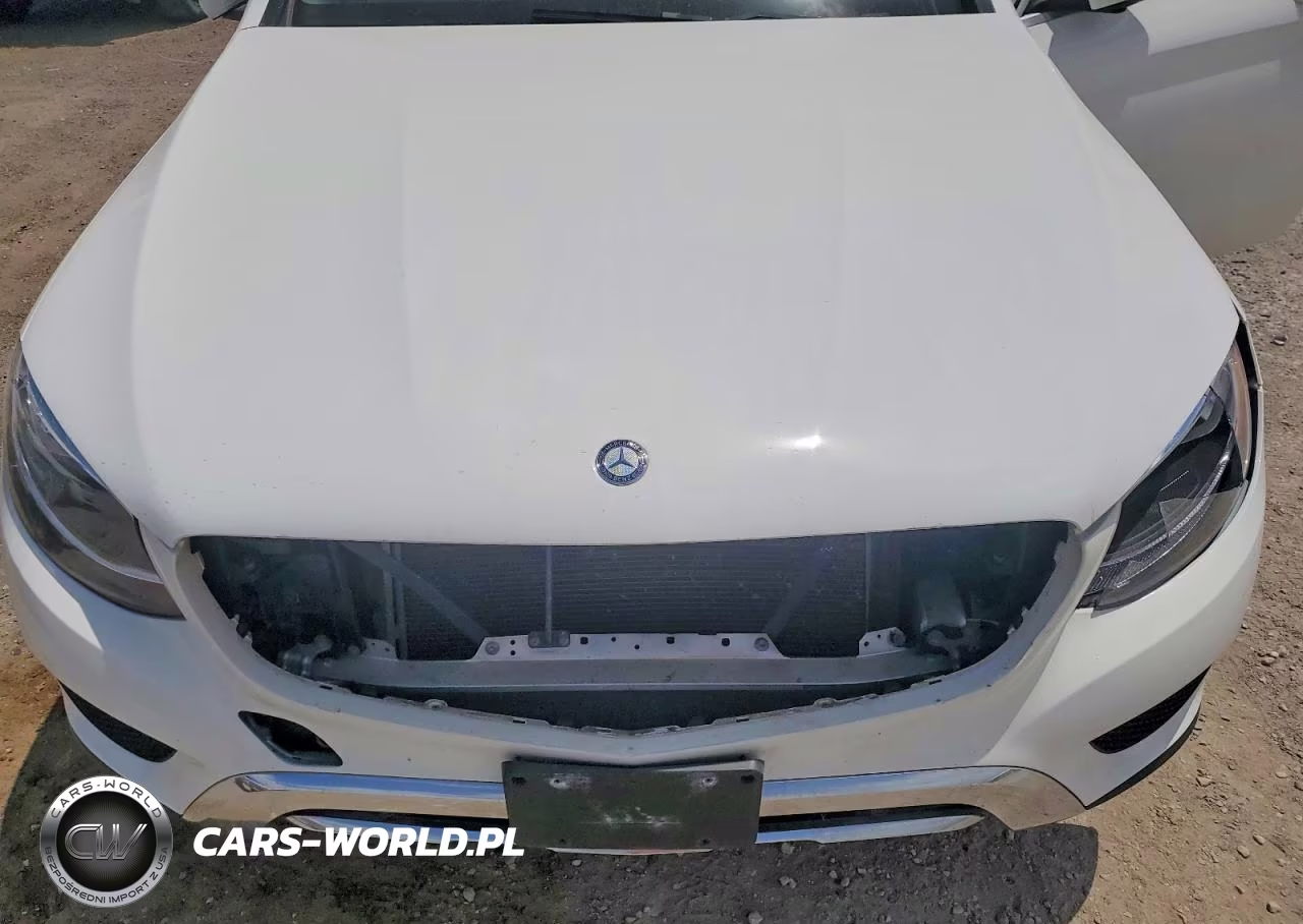 2016 Mercedes-Benz Glc 300 4Matic VIN:WDC0G4KB9GF010948 - 12