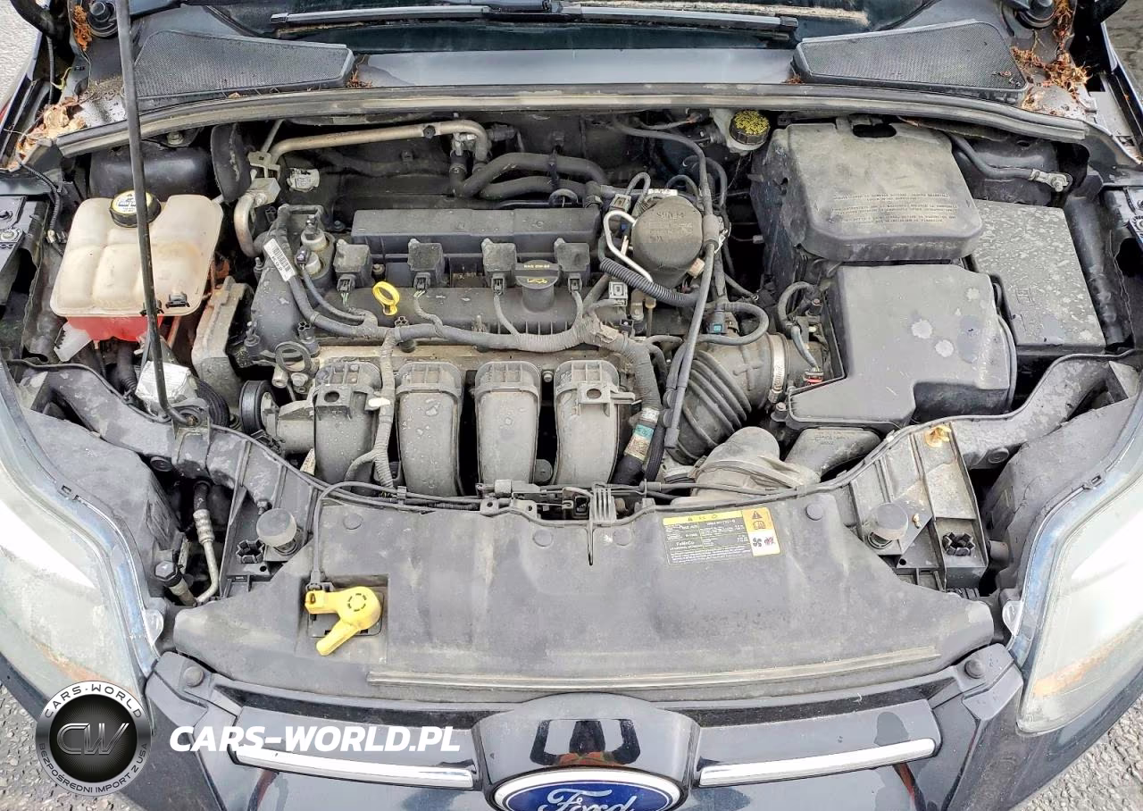 2012 Ford Focus Titanium VIN:1FAHP3J25CL447934 - 11
