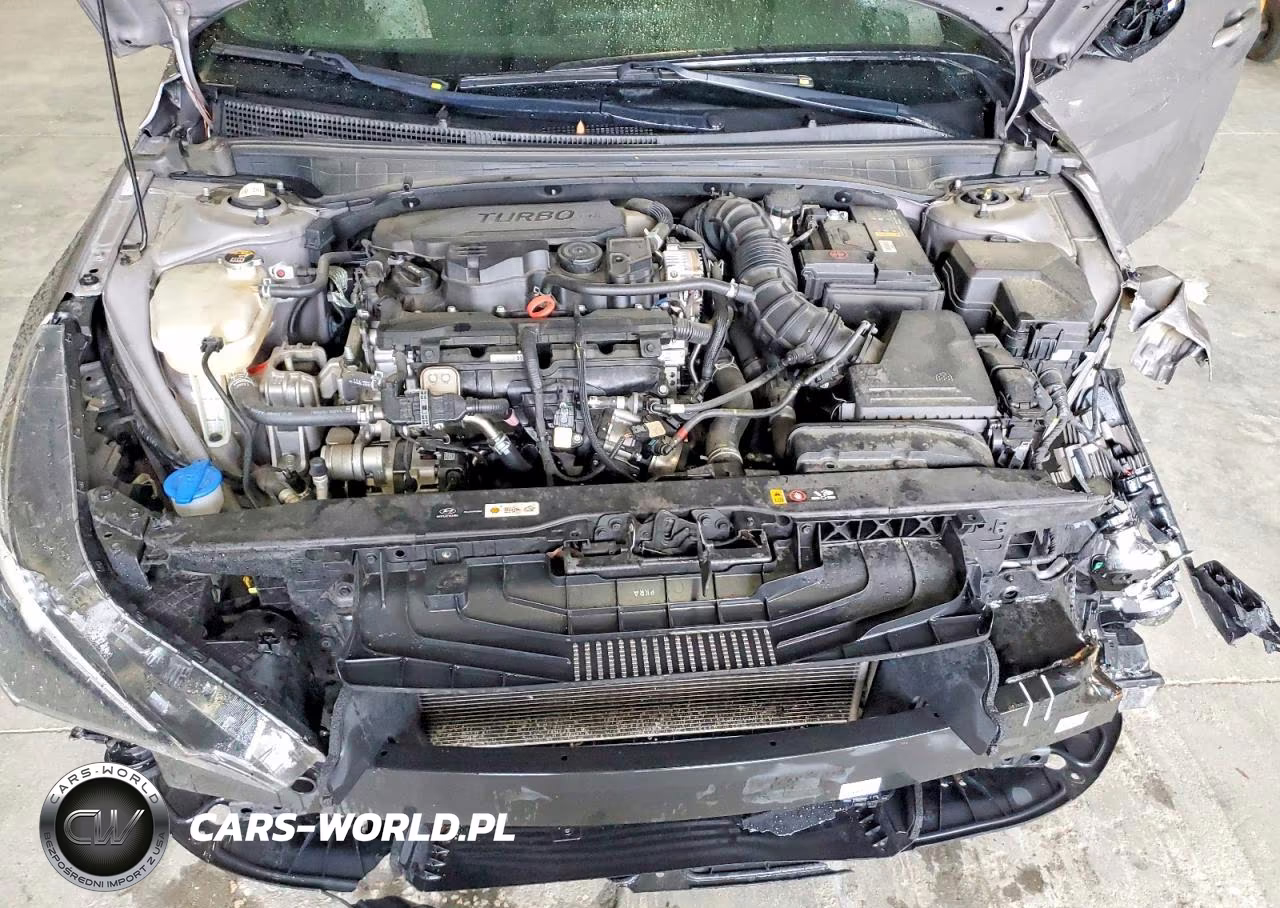 2021 Hyundai Elantra N Line VIN:KMHLR4AF6MU106329 - 11