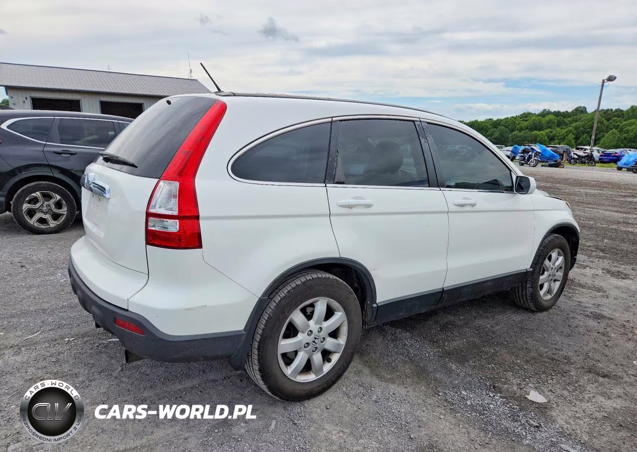 2009 Honda Cr-V Exl VIN:5J6RE48739L003210 - 3