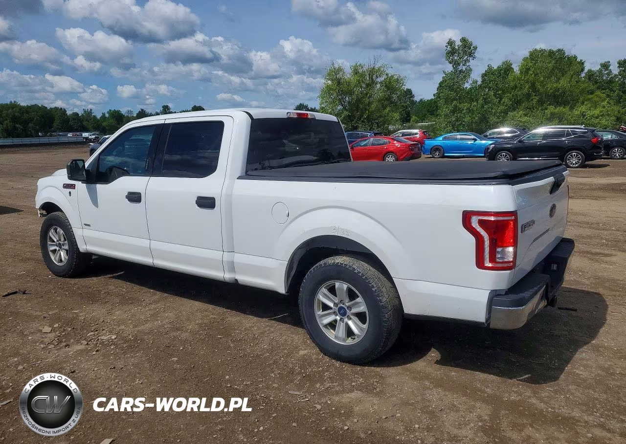 2015 Ford F150 Supercrew VIN:1FTEW1CP8FFC63748 - 2