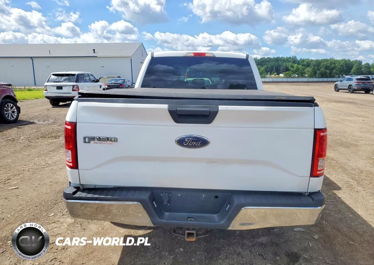 2015 Ford F150 Supercrew VIN:1FTEW1CP8FFC63748 - 6