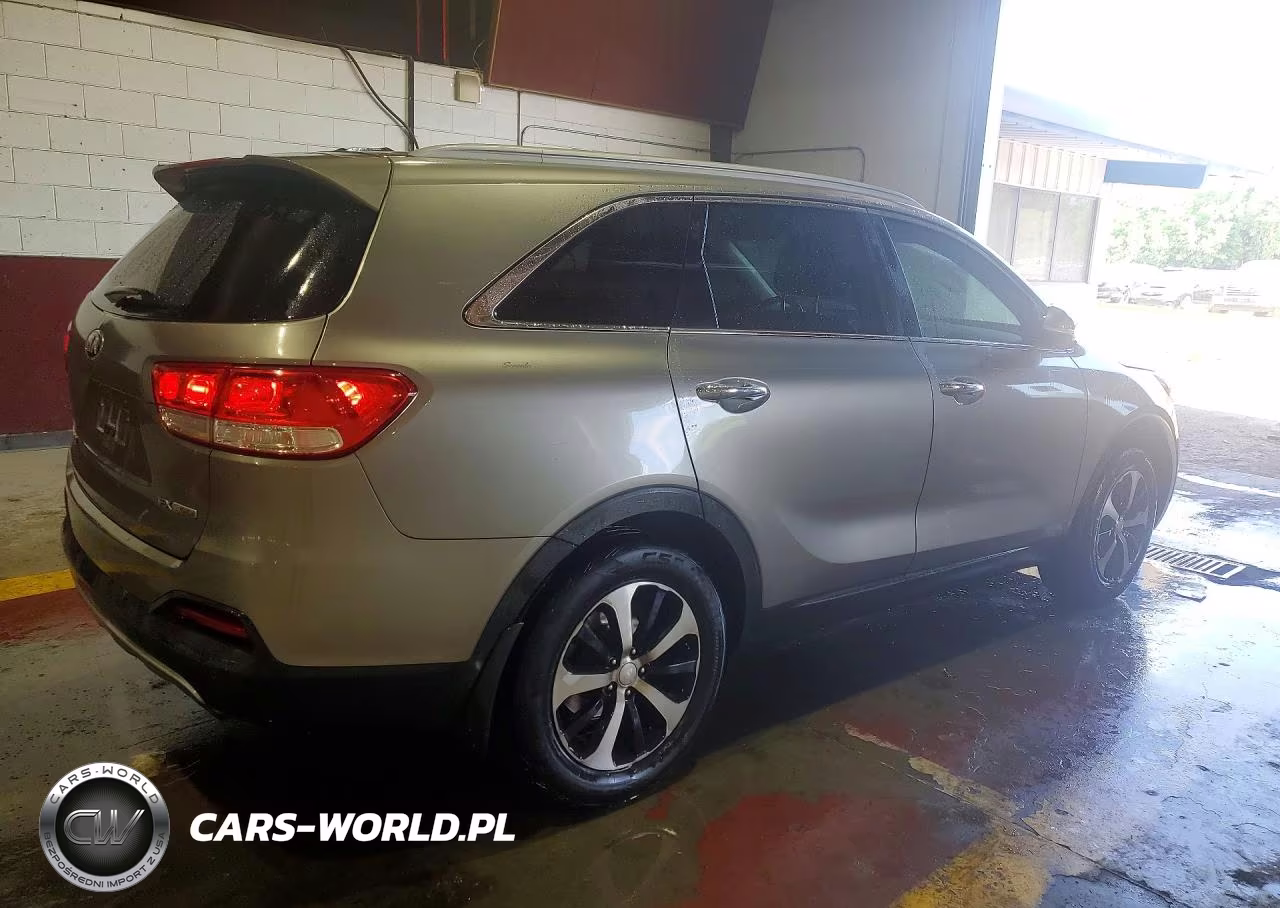 2016 Kia Sorento Ex VIN:5XYPH4A17GG010244 - 3
