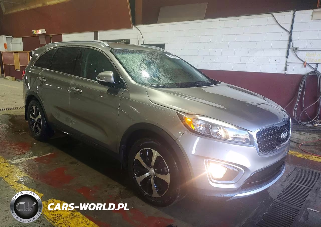 2016 Kia Sorento Ex VIN:5XYPH4A17GG010244 - 4