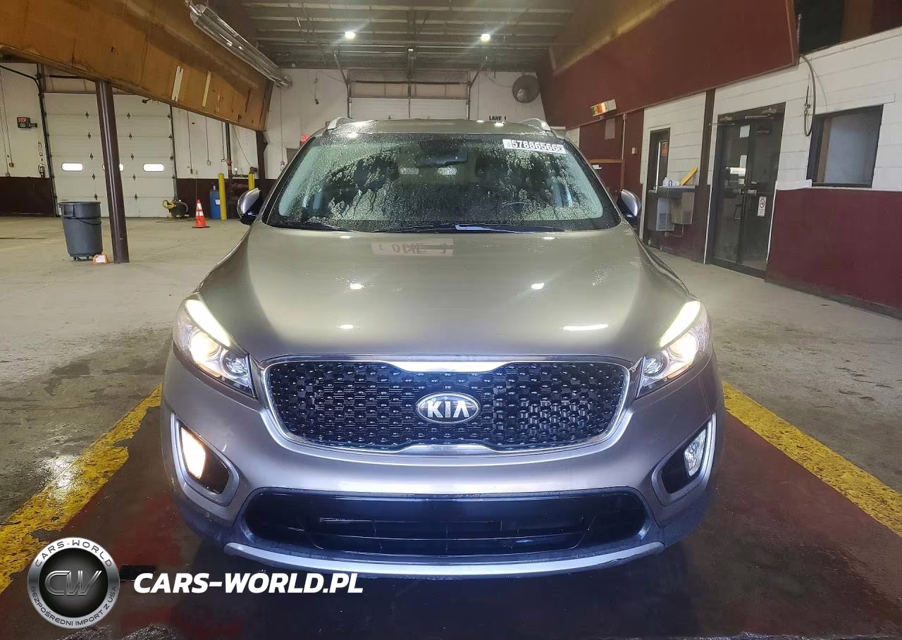 2016 Kia Sorento Ex VIN:5XYPH4A17GG010244 - 5