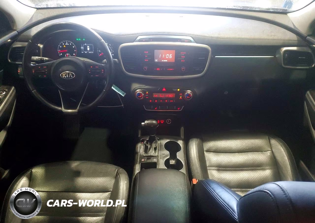 2016 Kia Sorento Ex VIN:5XYPH4A17GG010244 - 8