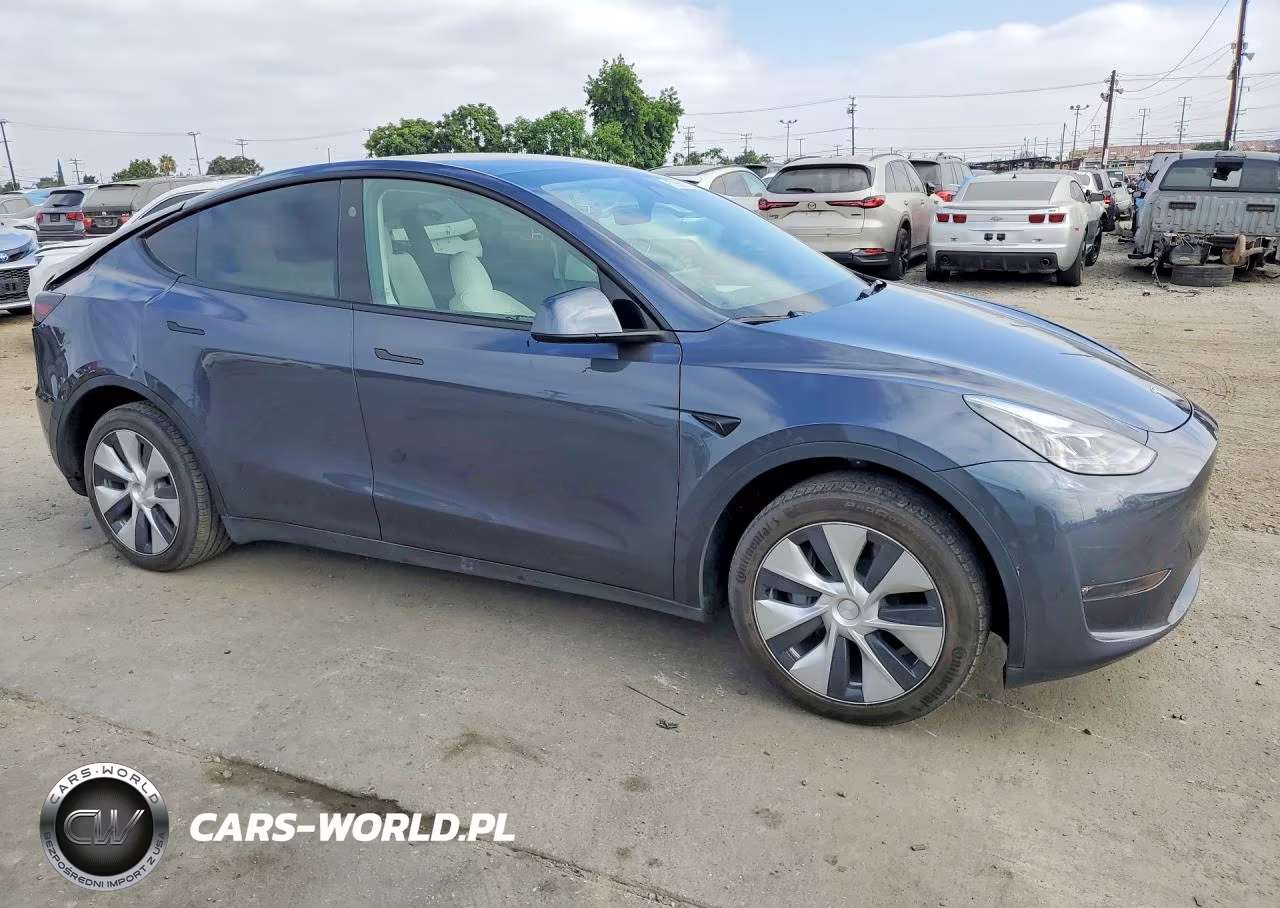 2023 Tesla Model Y VIN:7SAYGDEE0PF840045 - 4