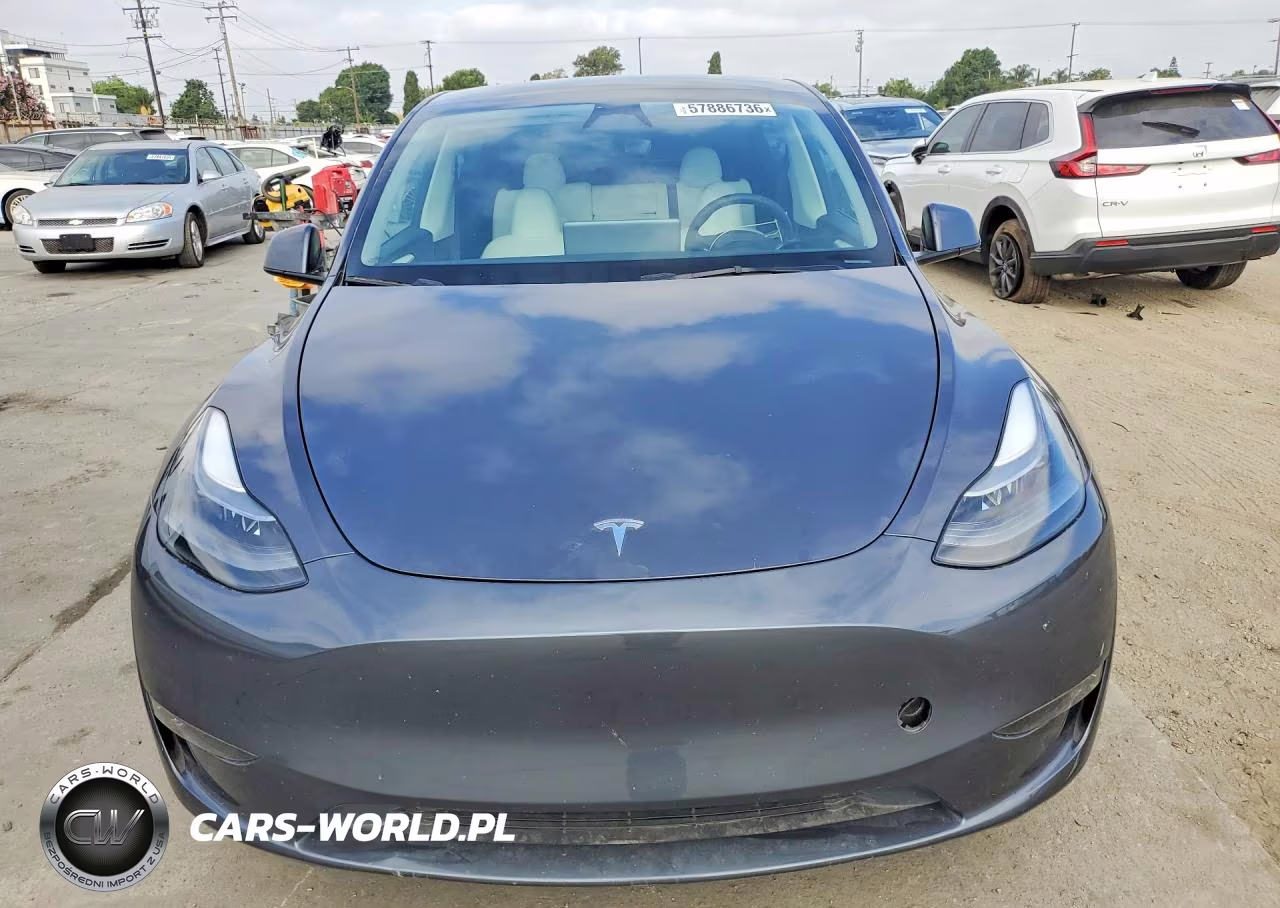 2023 Tesla Model Y VIN:7SAYGDEE0PF840045 - 5