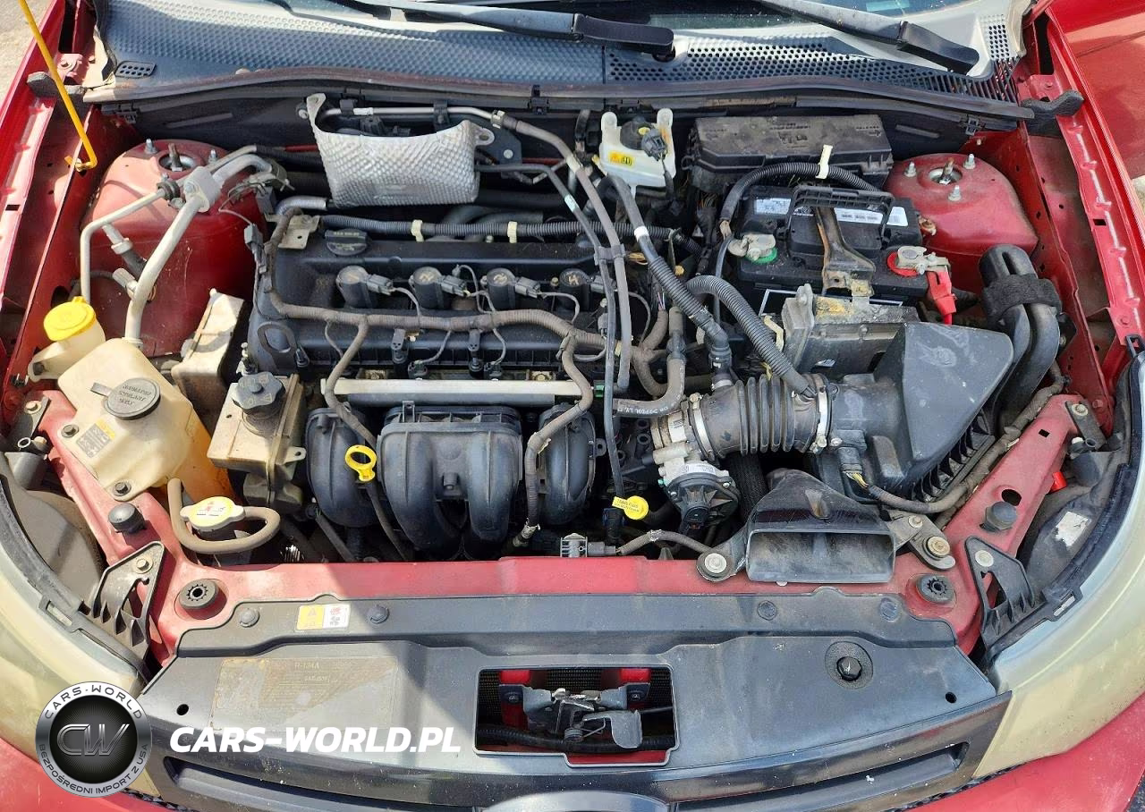 2009 Ford Focus Se VIN:1FAHP32N69W202141 - 11