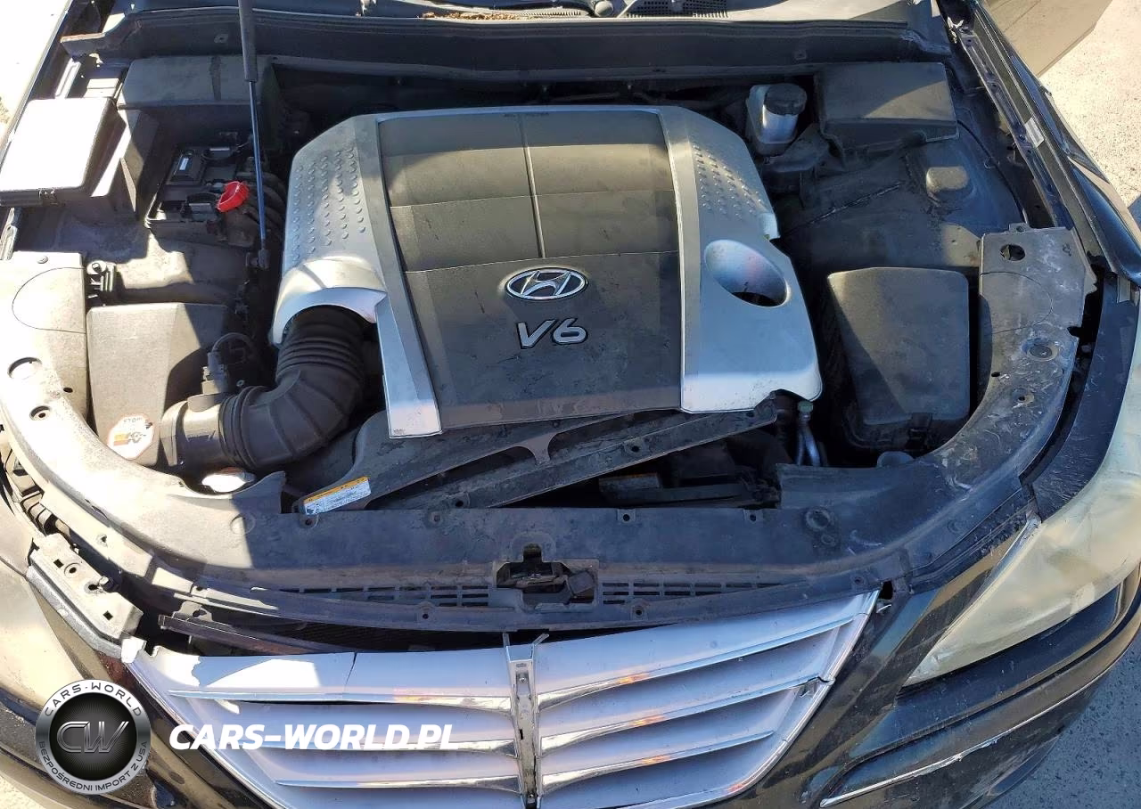 2010 Hyundai Genesis 3.8L VIN:KMHGC4DE9AU094145 - 11