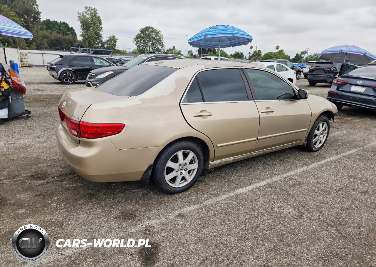 2005 Honda Accord VIN:1HGCM66575A009871 - 3