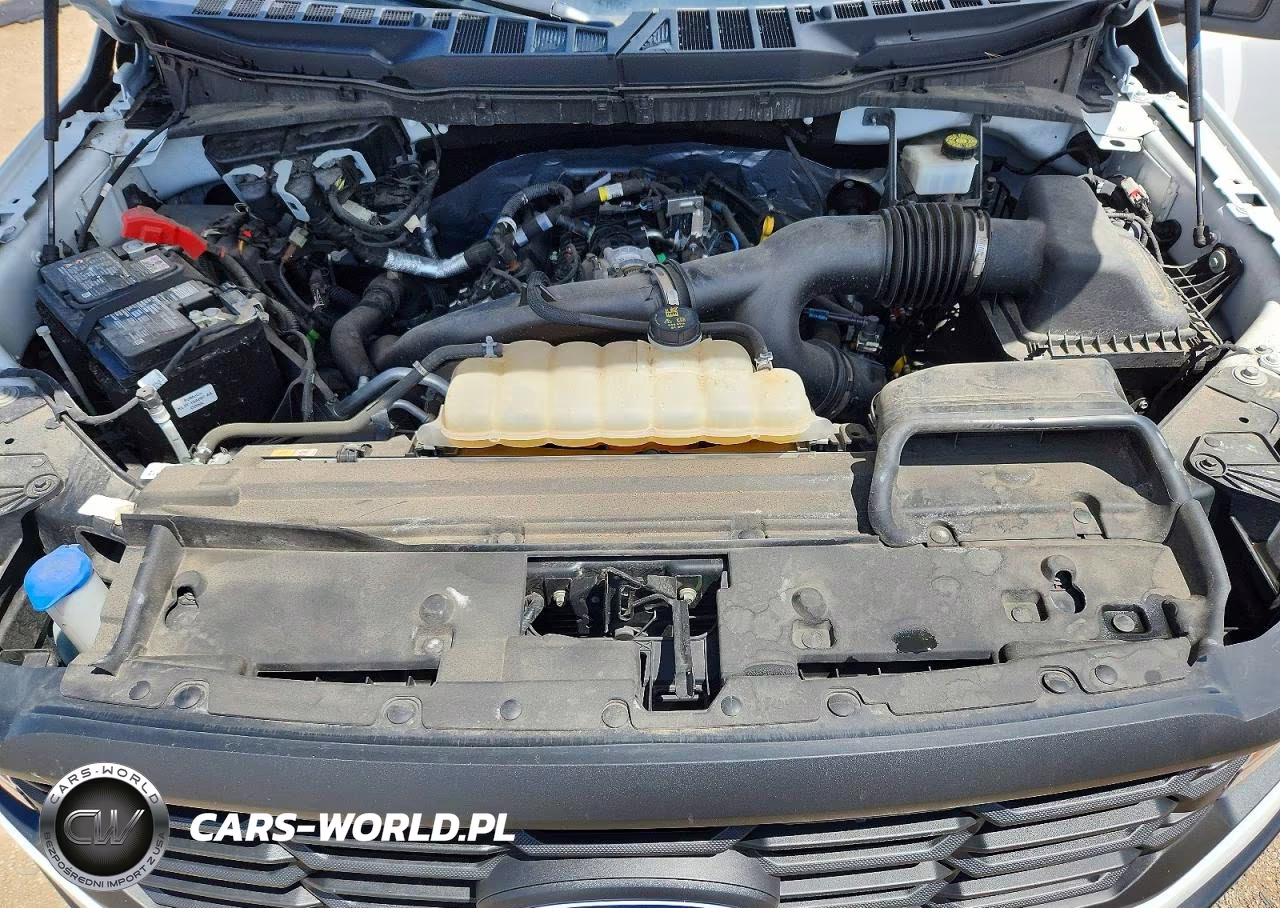 2024 Ford F150 Xl VIN:1FTEX1LP6RKD14219 - 11