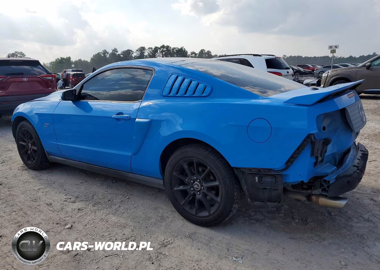 2010 Ford Mustang Gt VIN:1ZVBP8CH7A5119766 - 2