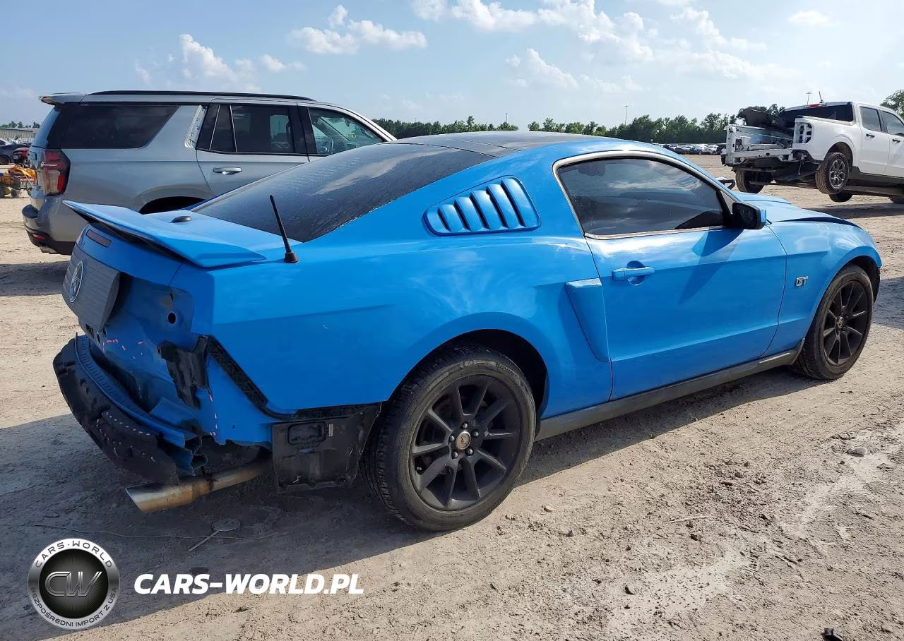 2010 Ford Mustang Gt VIN:1ZVBP8CH7A5119766 - 3