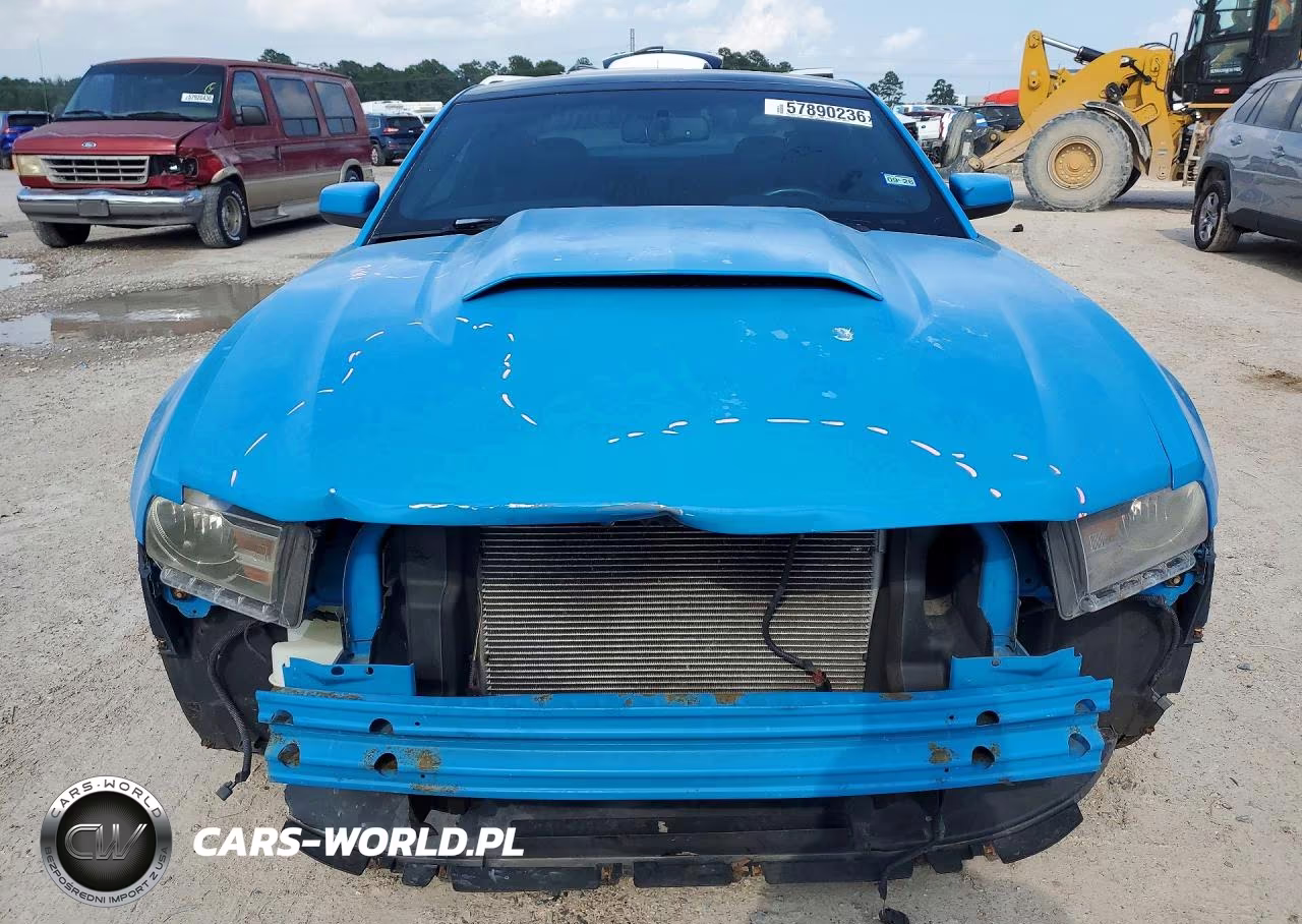 2010 Ford Mustang Gt VIN:1ZVBP8CH7A5119766 - 5
