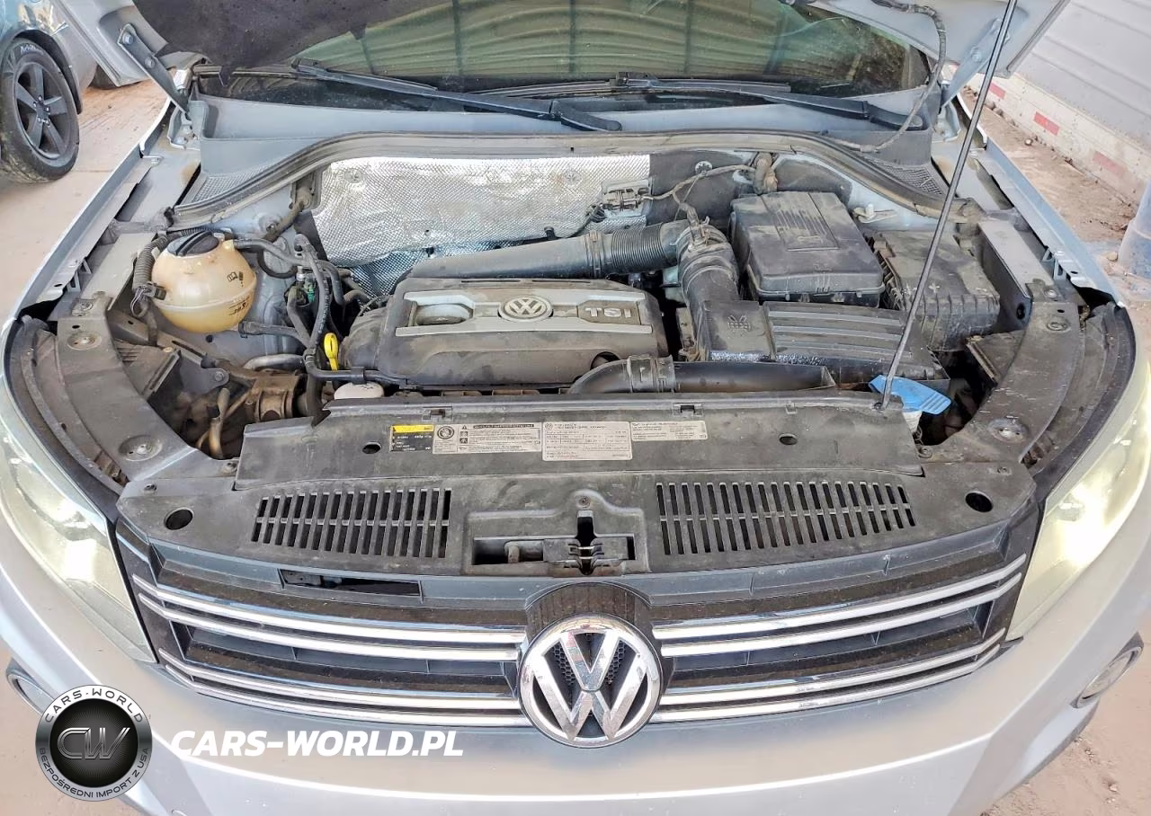 2016 Volkswagen Tiguan S VIN:WVGAV7AX1GW580890 - 12
