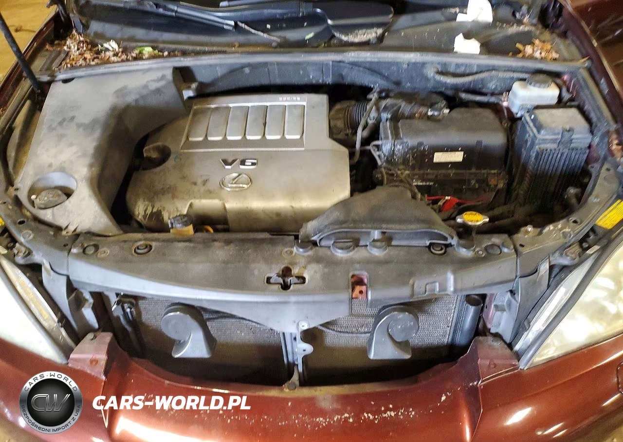 2008 Lexus Rx 350 VIN:JTJGK31U380013782 - 11
