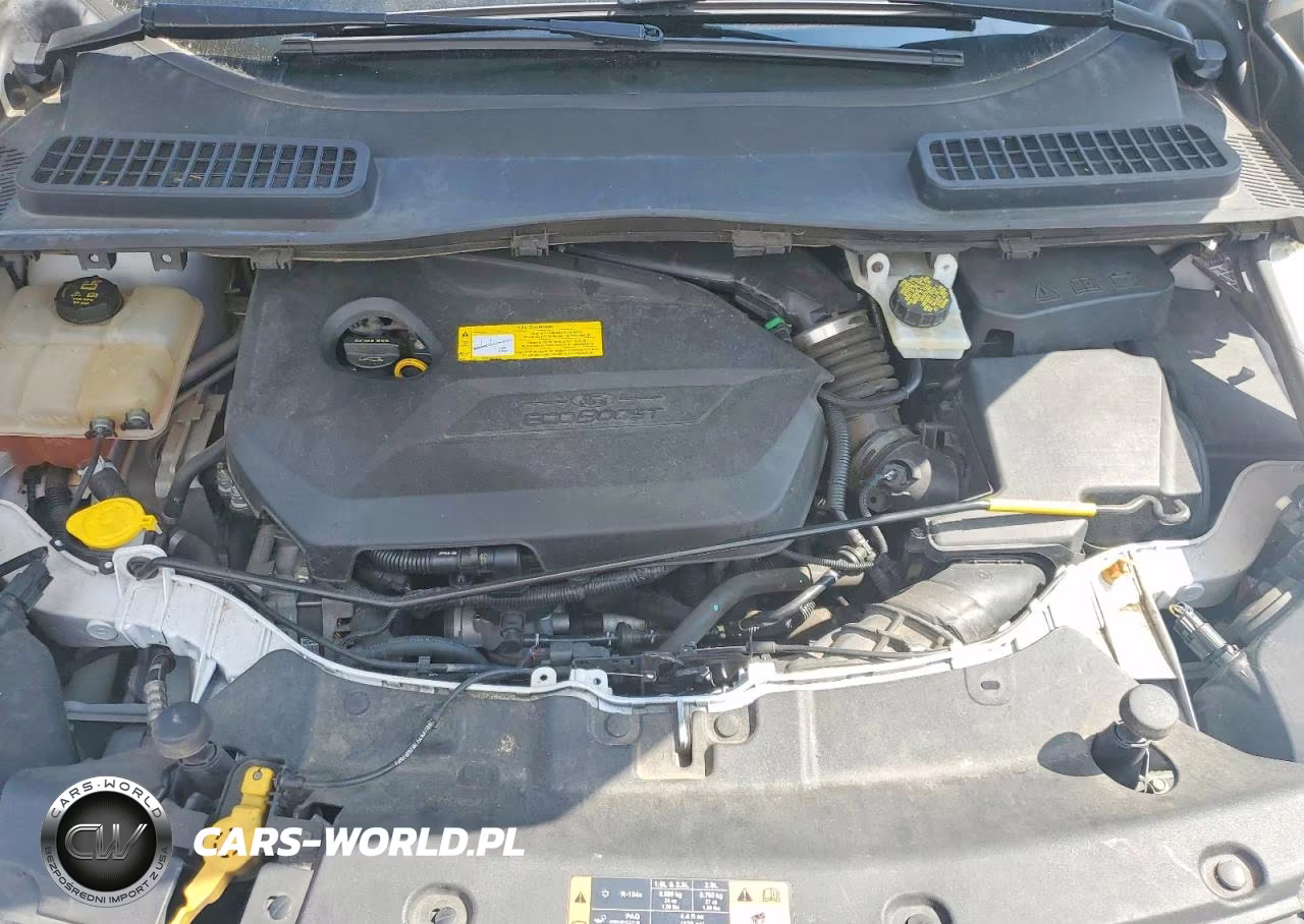 2016 Ford Escape Se VIN:1FMCU0GX3GUA03686 - 12