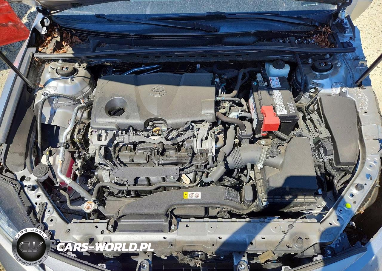 2019 Toyota Camry Le VIN:4T1B11HK1KU195986 - 11