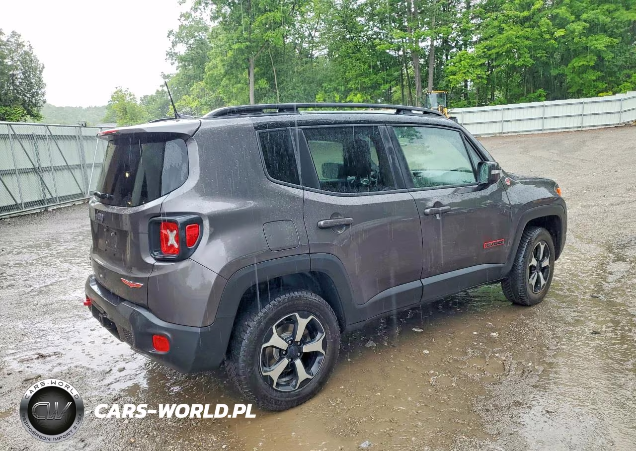 2021 Jeep Renegade Trailhawk VIN:ZACNJDC13MPN30569 - 3