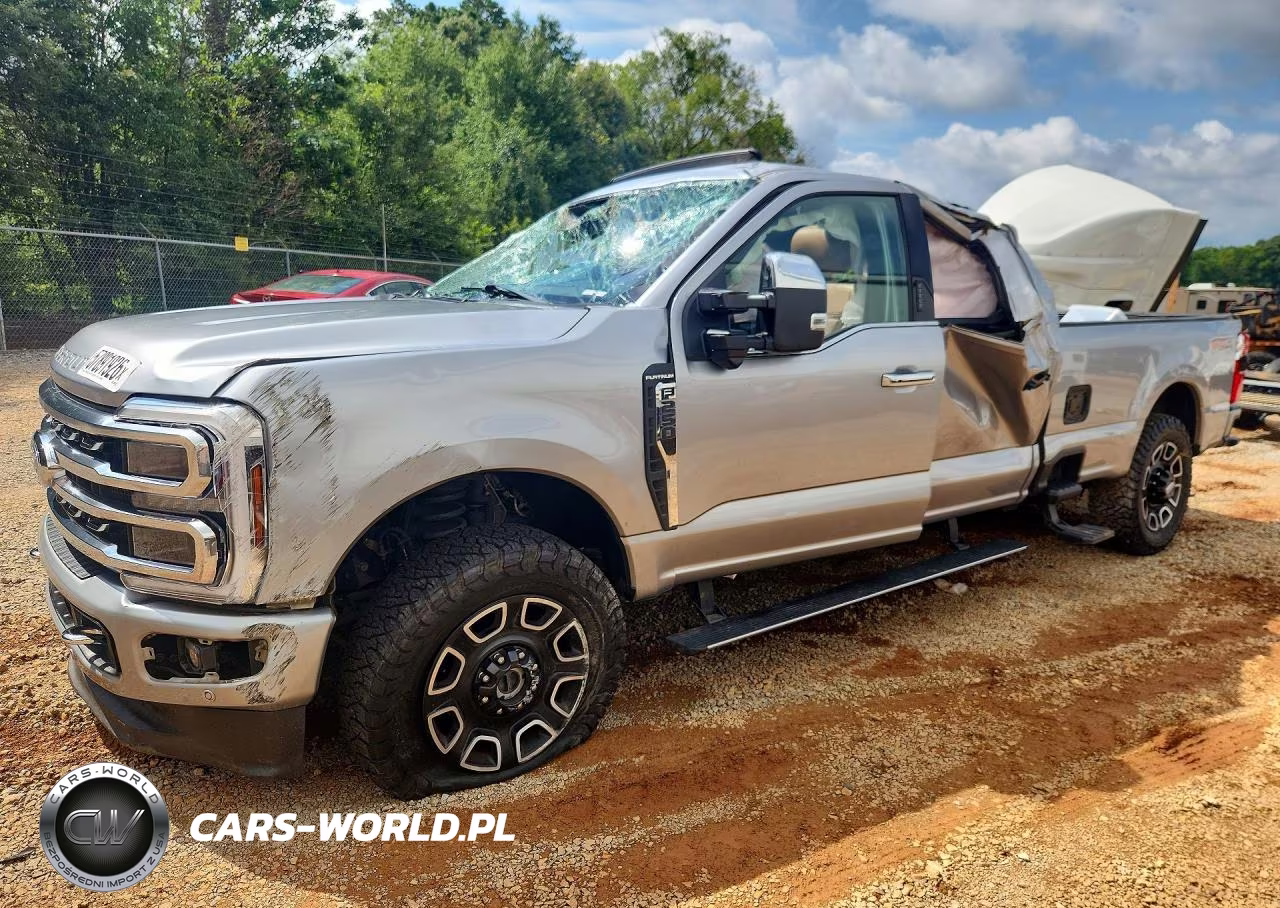 2024 Ford F250 Super Duty VIN:1FT8W2BN7REE06640 - 1