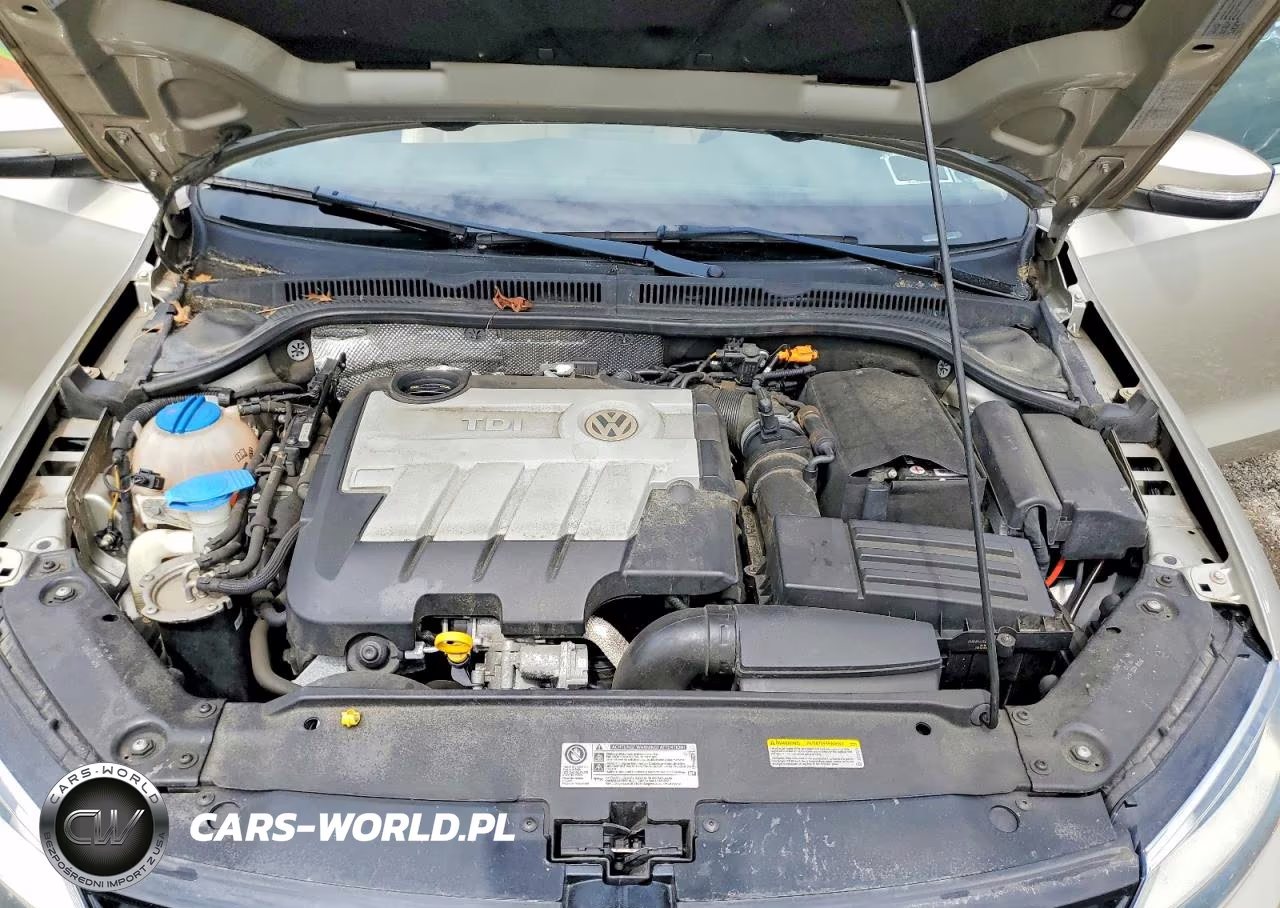 2014 Volkswagen Jetta Tdi VIN:3VWLL7AJ6EM265821 - 11