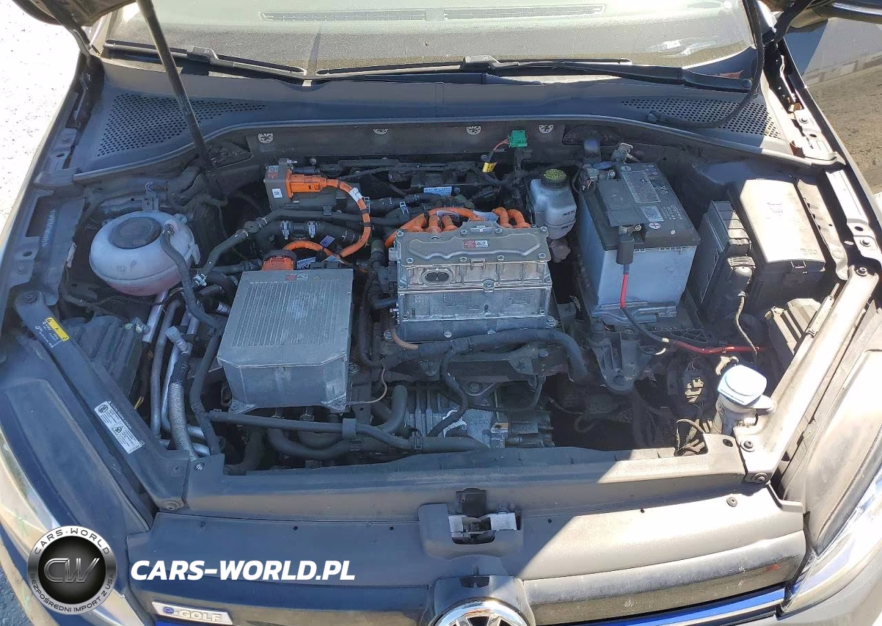 2019 Volkswagen E-Golf Sel Premium VIN:WVWPR7AU7KW908301 - 12