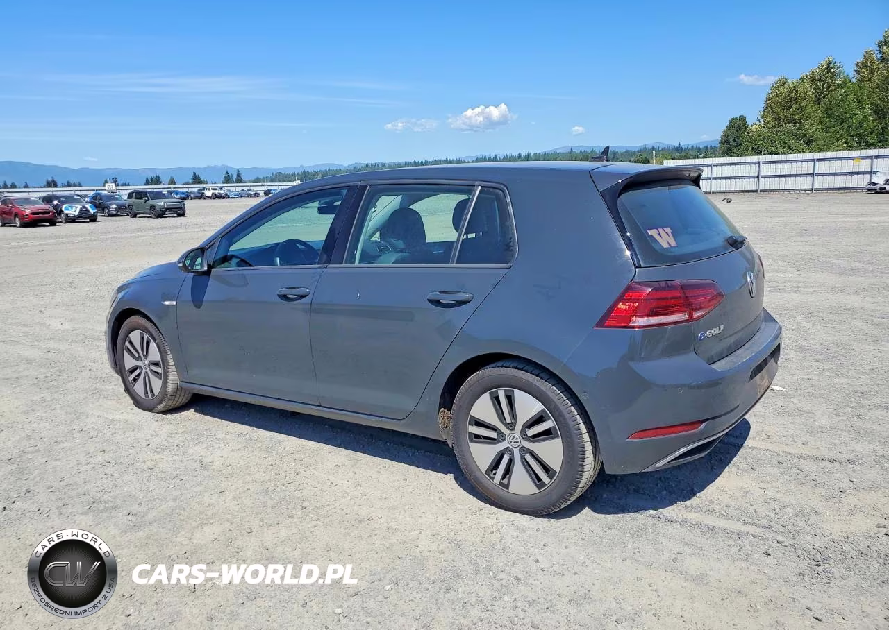 2019 Volkswagen E-Golf Sel Premium VIN:WVWPR7AU7KW908301 - 2